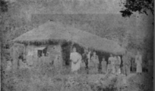Blog Post Image 1